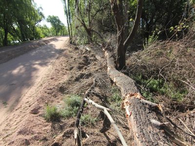 Humedales del río Limay: nuevamente intimidan al municipio de Neuquén