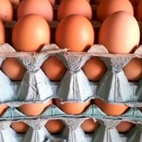Mirá este trucazo para preparar huevos de forma diferente y con un increíble sabor