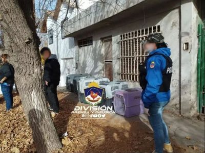 Vecinos del barrio Cumelén exigieron que se ocupen de los 50 animales que dejó una mujer en su casa
