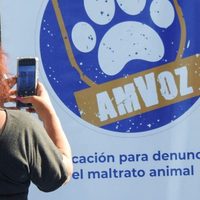 Se recibieron 700 denuncias durante el primer semestre en la aplicación AMVoz