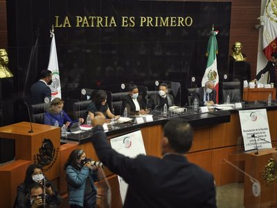 Senado pide preservar campo mexicano ante importación de papa estadunidense