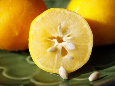Guardá las semillas de limón en el congelador y obtené la mejor receta para tus desayunos o meriendas