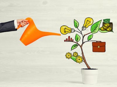 Horóscopo Chino: los signos que van a florecer y recibir muchos beneficios con la primavera