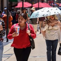 “Autopista hacia el infierno climático”: van 12 meses seguidos de calor sin precedentes