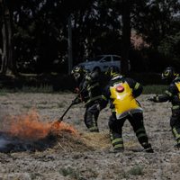 Alertan por vientos intensos este martes; riesgo de propagación de incendios en ocho entidades