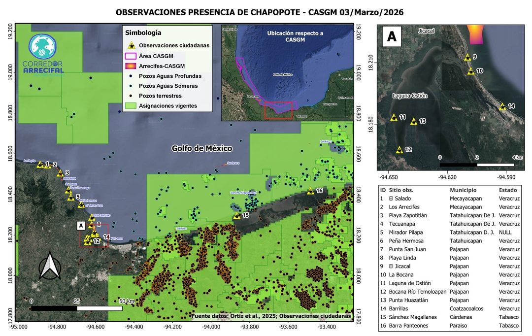 Mapa Playas afectadas por petroleo con asingaciones petroleras_4 marzo 2026_Red Corredor Arrecifal
