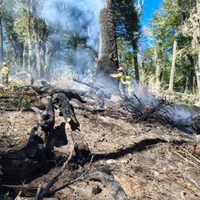 La investigación concluyó que el incendio en Valle Magdalena se inició por la caída de un rayo