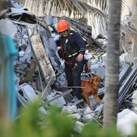 Se eleva a 11 el número de muertos tras el derrumbe de un edificio de 12 plantas en Miami