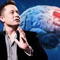 China acelera en la carrera de los implantes cerebrales para desbancar a Musk
