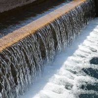 Todo lo que hay que tener en cuenta sobre el megacorte de agua