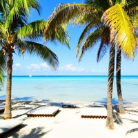 Fuerte suba del turismo en la Riviera Maya, aún en pandemia