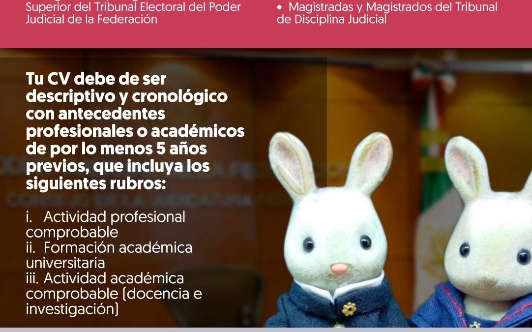 Campaña del Imjuve para la elección de jueces y magistrados