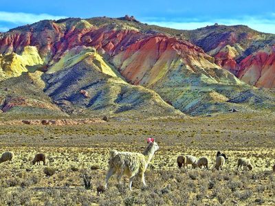 Prueba piloto para el Turismo: "Jujuy para jujeños" desde junio