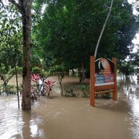 Desalojan a cientos de personas en Chiapas tras un deslave provocado por un río en Chilón
