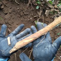 Descubren restos humanos en Puente de Ixtla, Morelos
