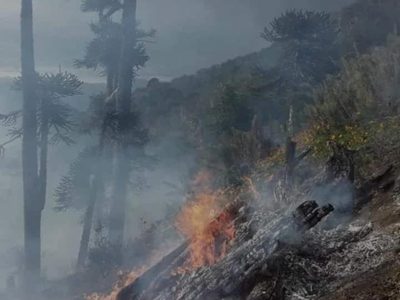 Guardaparques siguen con los trabajos para apagar fogones en lugar no habilitados