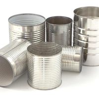 No tires las latas viejas que tenés en casa: creá estas macetas rústicas que van a quedar re bien en tu jardín este invierno