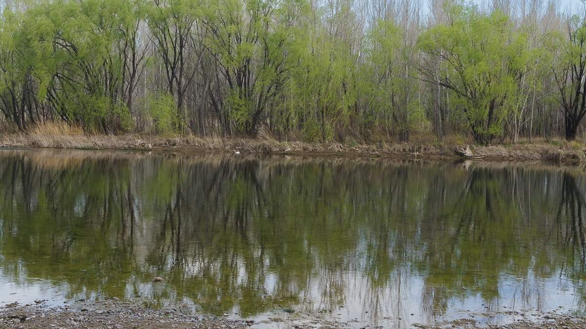 Clima agradable en Neuquen, con cielo gris y ascenso de la temperatura. Fuente: (Emiliano Ortiz)