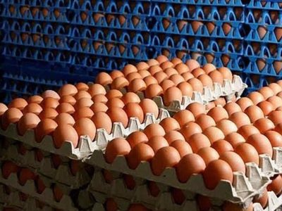 No tires el maple de huevos y dale vida con esta idea que te va a encantar para usar en tu cocina