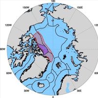 La "última zona de hielo" del Ártico podría no sobrevivir para el verano del 2050