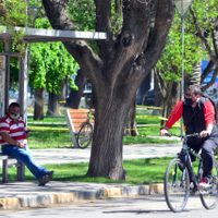 Las nuevas medidas que comenzarán a regir a partir del lunes próximo en Viedma