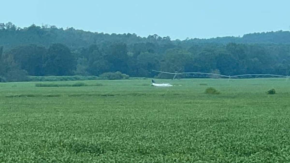 La avioneta aterrizó en un campo