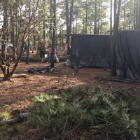 Indígenas se plantan en bosque de la Sierra Tarahumara para evitar tala; anuncian más acciones