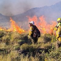Habrá multas de hasta 1.700 millones de pesos para quienes realicen quemas en lugares prohibidos