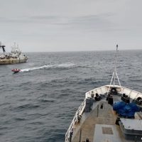 Detectan una impresionante cantidad de pesqueros extranjeros en la milla 201