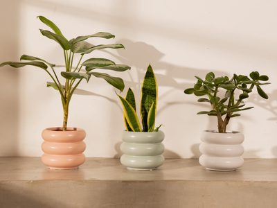 Con unas argollitas de madera hacé unos imanes macetitas para tu heladera que son un sueño