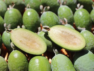 Conocé esta exótica planta cuyos frutos tienen el sabor más particular