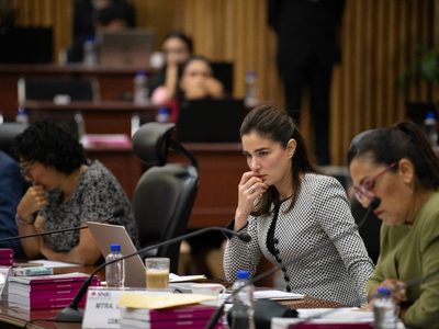 Nueva fractura en el INE: Dania Ravel se deslinda del comunicado sobre la elección judicial