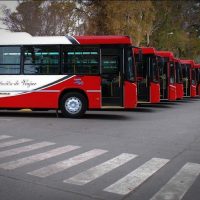 Río Negro denunció que el Gobierno Nacional no entrega los fondos de transporte