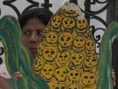 Continúa siembra de soya y maíz transgénico en Campeche; Semarnat y Senasica lo saben: ONG