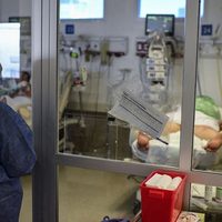 Avanza la variante Delta del coronavirus: el Ministerio de Salud confirmó nuevos casos