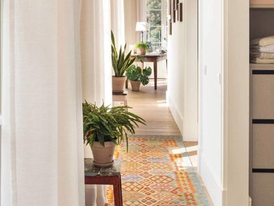 3 consejos viveristas para que tus plantas de interior crezcan hermosas y con las hojas más sanas