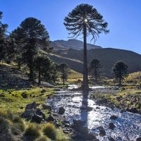 El ministro Badilla se reunió con lonko mapuche de Ruca Choroi y evaluaron proyectos turísticos