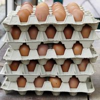 Tesoro escondido en la cocina: qué hacer con ese maple de huevos antes de que termine en la basura