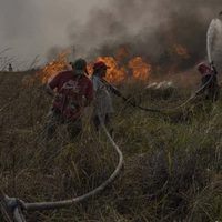 Se volvieron a activar tres focos de incendio en Corrientes