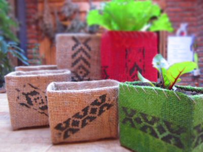 Aprovechá las cajas de cartón y creá estas mini macetas recicladas para tus suculentas