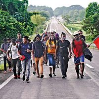 Informe de la Compañía de Jesús Las caravanas, producto de sistemas políticos fracasados