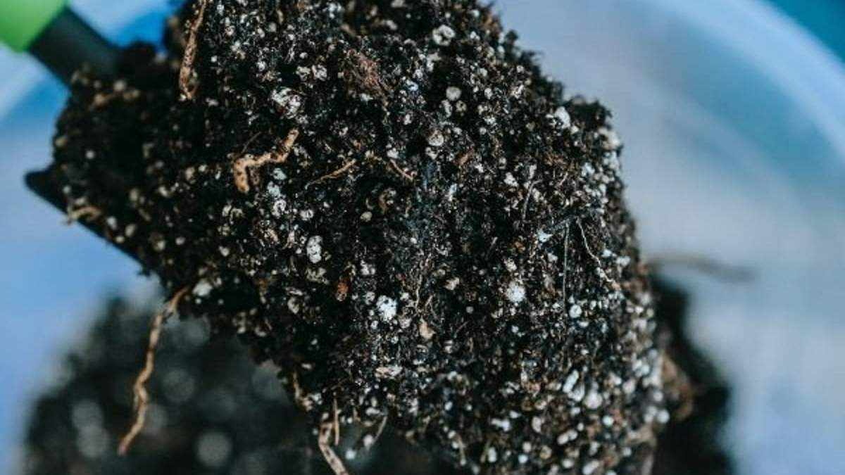 Tierra orgánica para tus plantas. Fuente: (X)