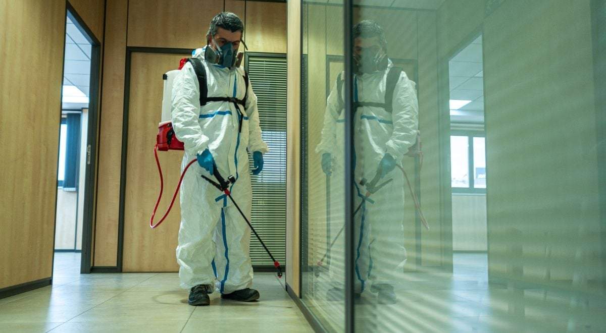 Fumigación contra plagas