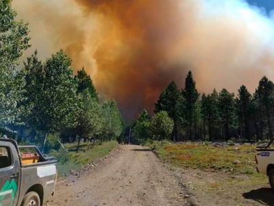 Los incendios siguen golpeando a Tierra del Fuego y hay focos en una decena de provincias
