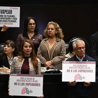 Diputados oficialistas aprobaron la ley general de salud en materia de vapeadores
