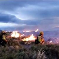 Bomberos y brigadistas lograron extinguir el incendio de pastizales en Zapala