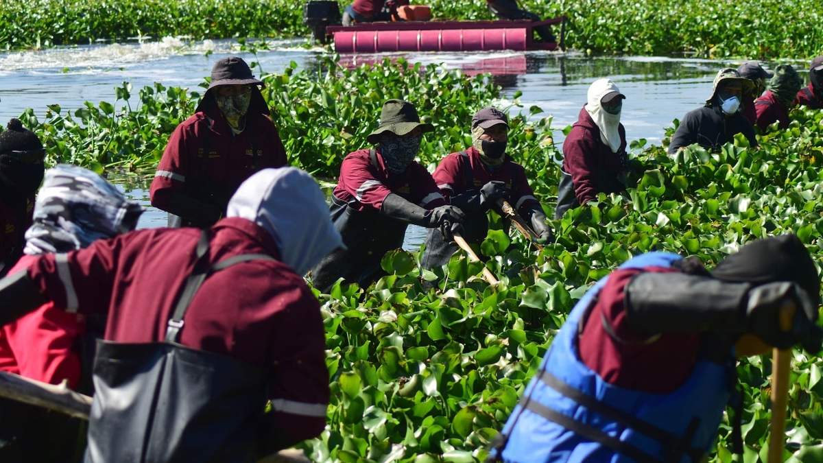 Obras de limpieza del río Tula