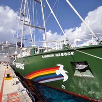 Denuncia Greenpeace daños a los arrecifes de Veracruz
