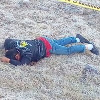 Abandonan cuatro cuerpos con impactos de arma de fuego en la autopista México-Tuxpan