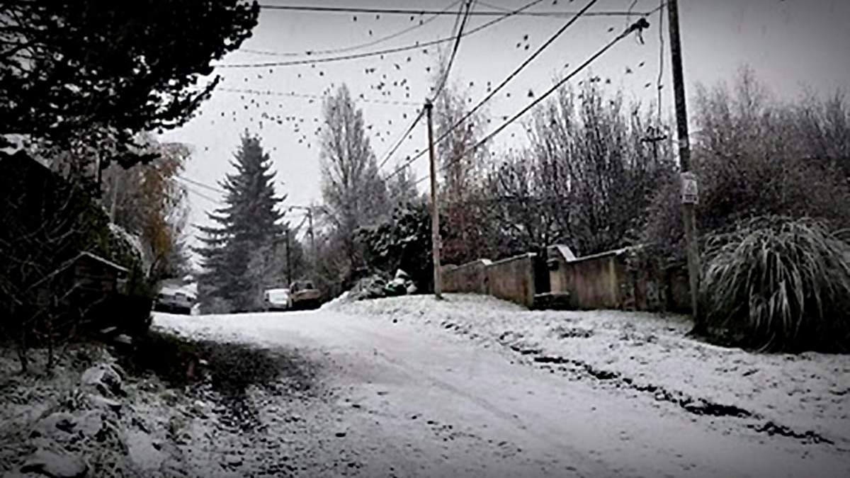 Viento en Neuquén. Fuente: (Facebook)